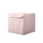 Aberto Design Caja de almacenaje YLC418 en color Polvo